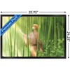 Trends International Fruits Basket - Kyo Soma Framed Wall Poster Prints - 3 of 4