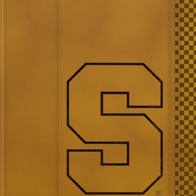 syracuse orange