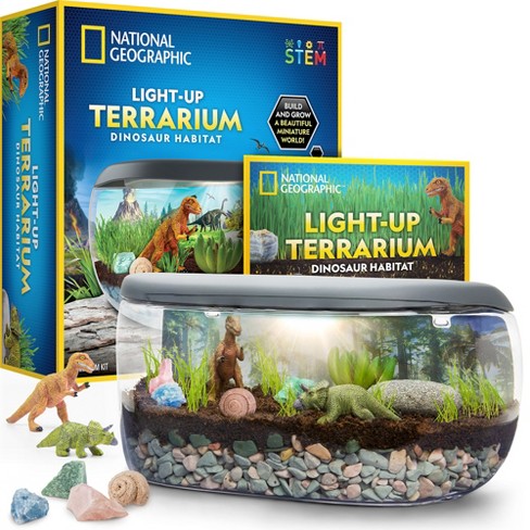 National Geographic Light Up Terrarium Kit For Kids - Dinosaur Terrarium Kit,  Build & Grow A Dinosaur Habitat With Real Plants, Fossils & More : Target