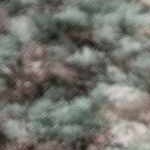 charcoal, mustard, camel, dusty pink, light gray, off white, sky blue, brick red