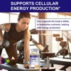 Mulittea 1000mg Vitamin C + 20mg Zinc for Immune Support, Antioxidant & Energy – 60 Capsules - 2 of 4