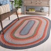 Braided BRA270 Hand Woven UV Resistant, Stain Resistant, Non-Shedding Machine Washable Indoor Rugs - Safavieh - 2 of 3