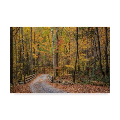 16" x 24" Greenbrier Bridge Path by Galloimages Online - Trademark Fine Art