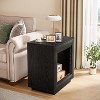 Tribesigns 24" 2 Tiers Farmhouse End Table with Shelf Storage - 4 of 4