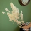 Uniquewise Preserved Real Floral Stems Chic Vase Fillers & Accents for Bouquets Centerpieces - 4 of 4
