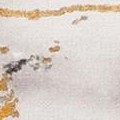 grey/gold