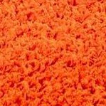 tiger orange