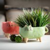5.75"H Sullivans Purr-Fect Cat Planter Pair Set of 2, Multicolor - 3 of 4