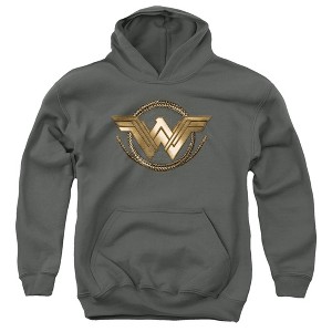 Boys’ Wonder Woman Movie Lasso Logo Hooded Sweatshirt - 1 of 4
