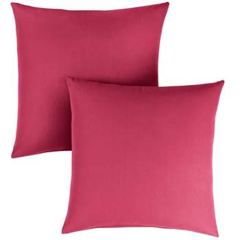 2pk Sunbrella Outdoor Square Throw Pillows Hot Pink