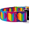 Country Brook Petz 1 1/2 Inch Martingale with Premium Buckle, Affection Collection - 4 of 4