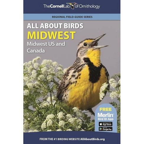 American Robin Overview, All About Birds, Cornell Lab of Ornithology