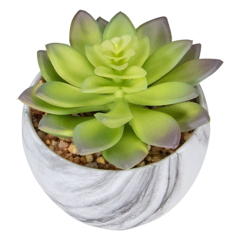 Northlight 4" Green and Purple Artificial Succulent in Faux Marble Pot, 5 of 6