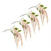 Set of 4 Amaranthus Stems – 53.25"H – Vibrant Home Arrangement – By Melrose - 3 of 3