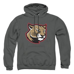 Southern Illinois University Edwardsville Official Stacked Adult Pull-Over Hoodie - 1 of 4