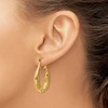 Black Bow Jewelry Kissing Dolphin Hoop Earrings in 14k Yellow Gold - 3 of 4