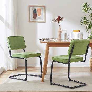 Neutypechic Velvet Upholstered Modern Dining Chair Set of 2