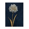 Trademark Fine Art -James Wiens 'Shimmering Summer I Indigo Crop' Canvas Art - 2 of 4