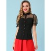 Allegra K Women's Mesh Sheer 1950s Retro Puff Sleeve Peter Pan Blouse - 4 of 4