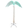 Northlight Lighted Rope Tropical Palm Tree Outdoor Decoration - 7' - Green and Clear Lights - 2 of 3