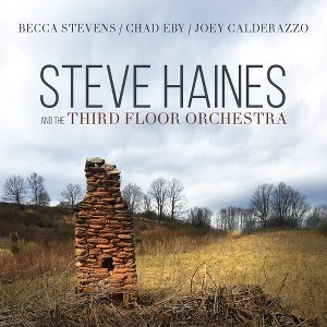 Steve Haines - Steve Haines And The Third Floor Orchestra (CD) - 1 of 1