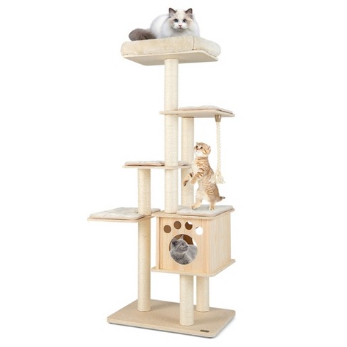 Top 2024 cat trees