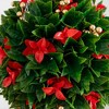 Nearly Natural 15" UV Resistant Artificial Red Tip Photinia Christmas Hanging Ball (Indoor/Outdoor) - 2 of 4