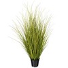 Green/Brown Switchgrass Potted - 4 of 4