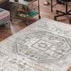 Maxax Boho Woven Rugs  for Entryway, Kitchen, Front Door Indoor Entrance, Entry, Kids Room (Grey/Blue) - 2 of 3