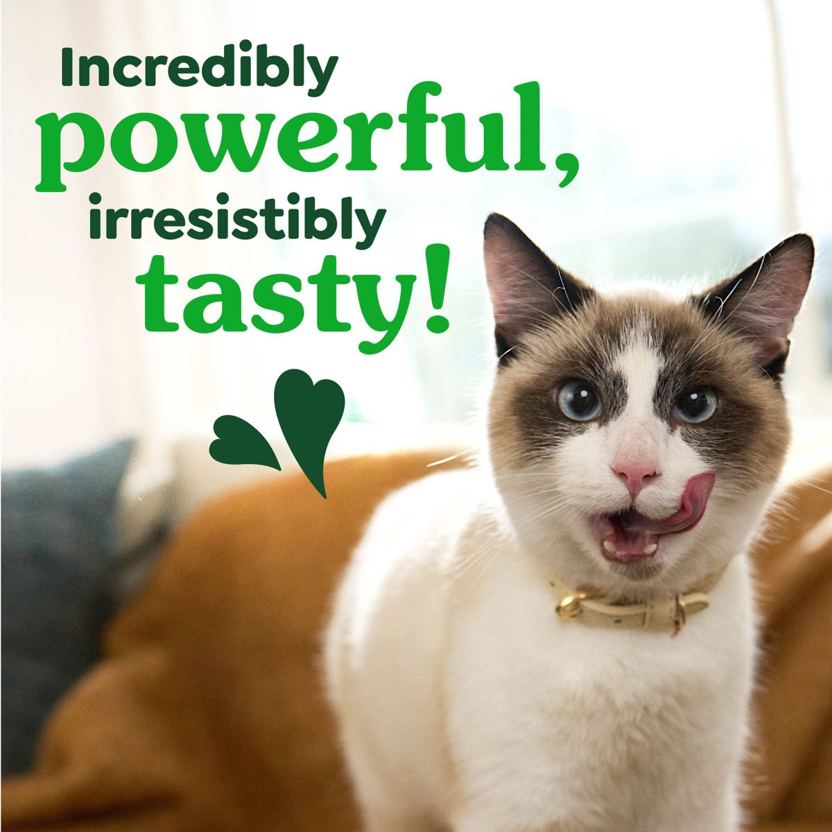 Greenies Catnip Flavor Dental Cat Treats - thumbnail 9
