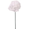 Floral Home 8" Pick White Rose - 50-Piece - 2 of 4