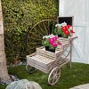 Novelty Wooden Cart Plant Stand with Chalkboard - Alpine Corporation - 2 of 4
