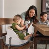 Ingenuity Baby Base 2-in-1 Booster Feeding and Floor Seat with Self-Storing  Tray - Slate