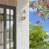 Livex Lighting Outdoor Basics 1 - Light Wall Light in  Antique Brass - 4 of 4