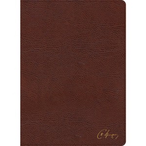 KJV Spurgeon Study Bible, Brown Bonded Leather - by  Alistair Begg & Holman Bible Publishers (Leather Bound) - 1 of 1