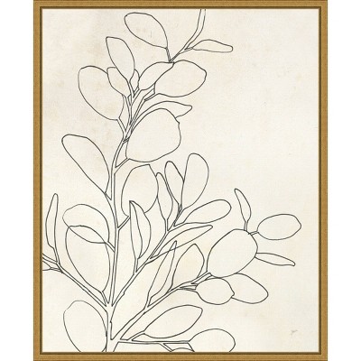 16" x 20" Eucalyptus Plant I by Karyn Panganiban Framed Wall Canvas - Amanti Art