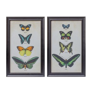 Melrose Framed Encyclopedia Butterfly Print (Set of 2) - 1 of 4