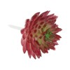 Unique Bargains Unpotted Realistic Textured Garden Decoration Artificial Succulent Plant 4 Pcs - 3 of 4
