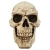 Design Toscano Sinister Simon Giant Skull Sculpture - 3 of 4