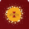 NCAA Iowa State Cyclones Toddler Girls' Ruffle Dress - 3 of 3