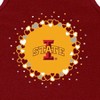 NCAA Iowa State Cyclones Toddler Girls' Ruffle Dress - image 3 of 3