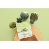 Avatara Soothing Face Mask - Juicy Avobravo - 0.71 fl oz - 3 of 3