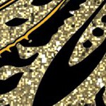 boston bruins
