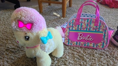 Barbie Salon Pet Adventure Stuffed Animal, Poodle With Themed Purse And 6  Accessories : Target