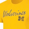 NCAA Michigan Wolverines Men's Heather T-Shirt - 3 of 3
