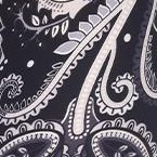 black/white paisley