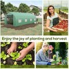 CAVINAS Walk-in Tunnel Greenhouse with Roll-up Windows and Zippered Door, PE Cover for Growing Flowers, Herbs, Green - 3 of 4