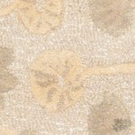 nutshell/brown