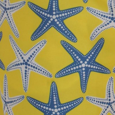 citron - starfish