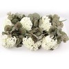 Floral Home 18" White Geranium Hang Bush - 12-Piece - 4 of 4